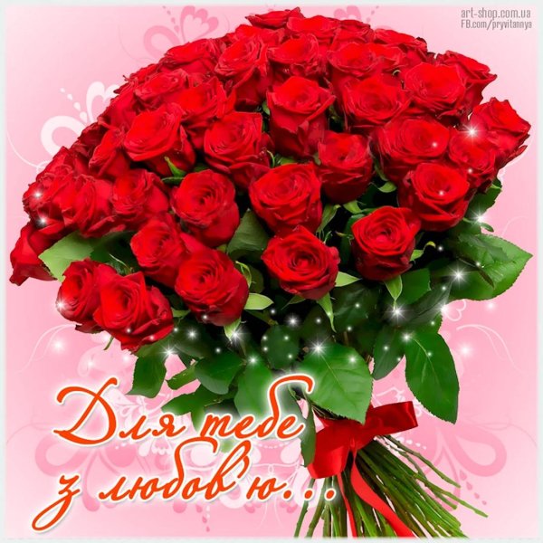 красные розы букет