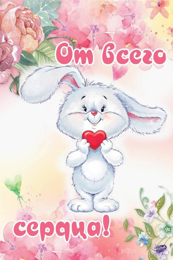 любимому зайчику