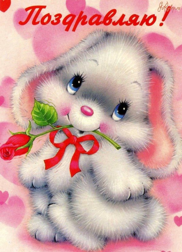 зайчик открытка