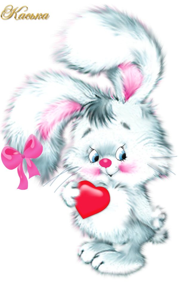 любимому зайчику