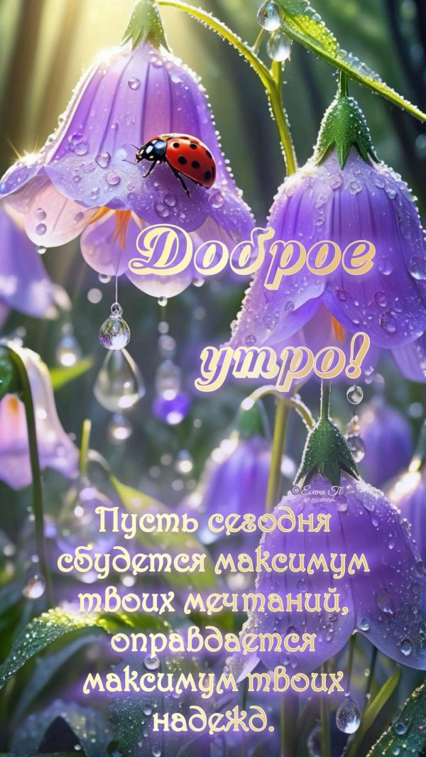летнее утро доброе