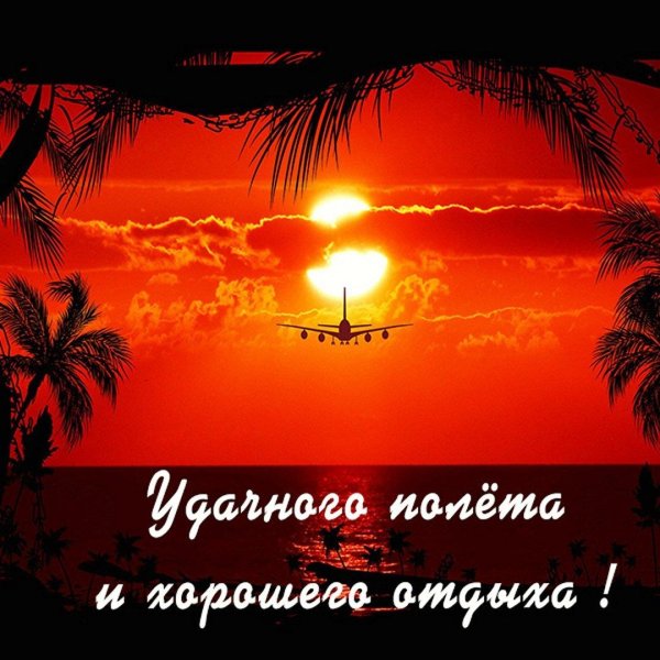 самолет пальмы