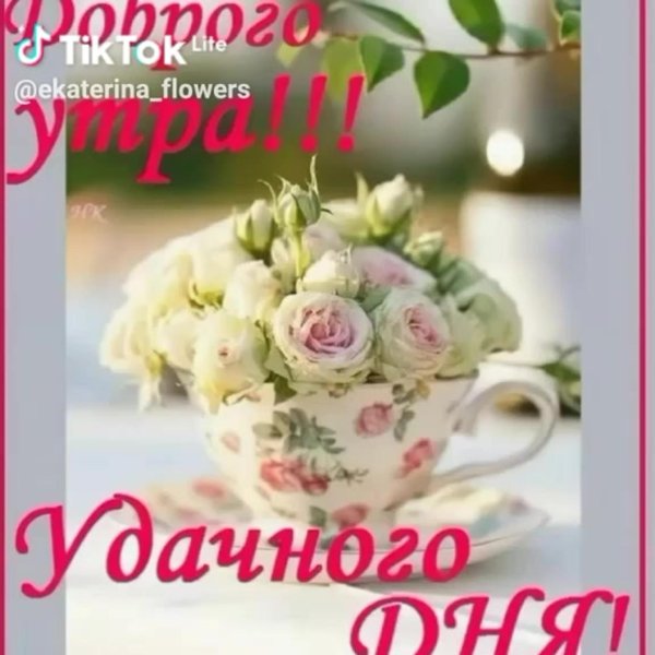 цветы в чашке