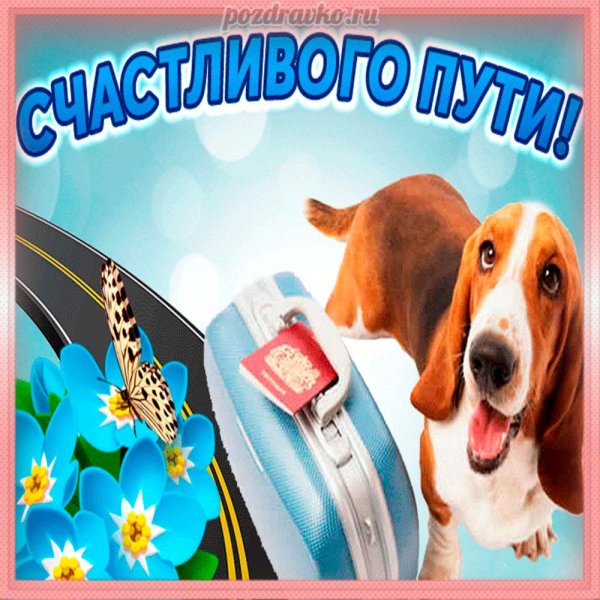 счастливого пути собака