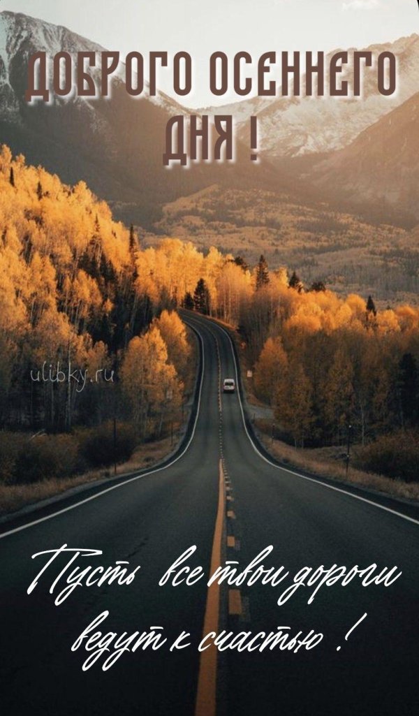 дорога осень