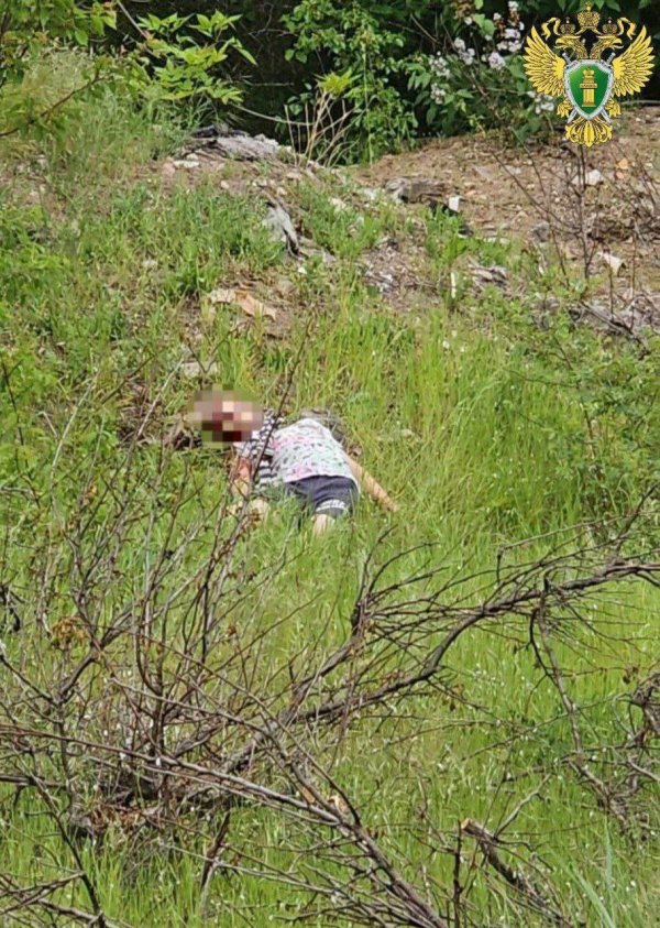 найдено тело