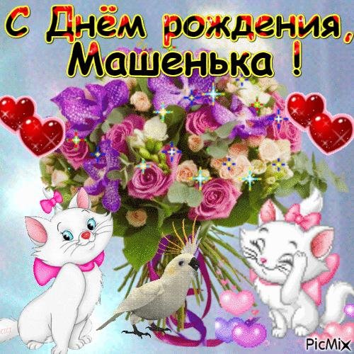 кот с цветами открытка