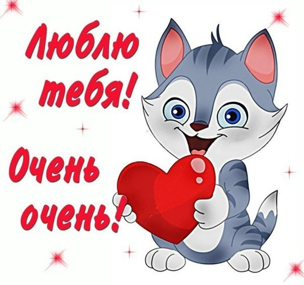 котики сердечки