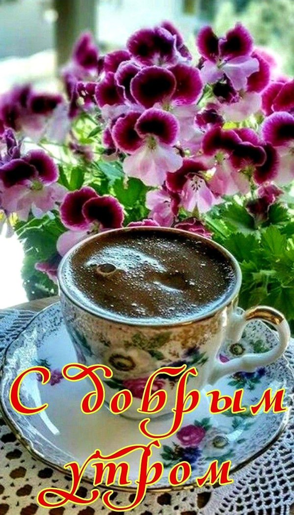 утренние цветы