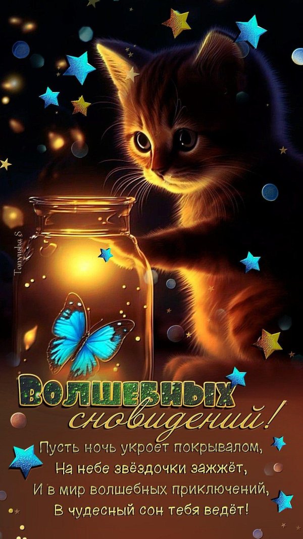 вечера доброго ночи спокойной