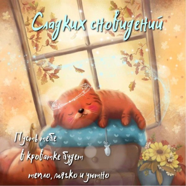 сладкие сны