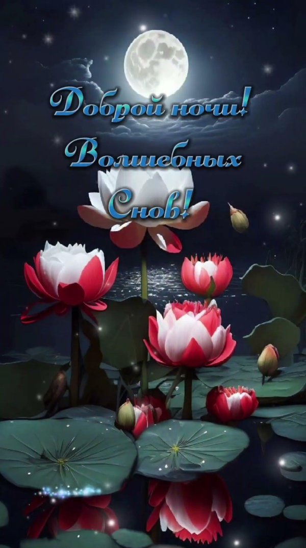 добрая ночь