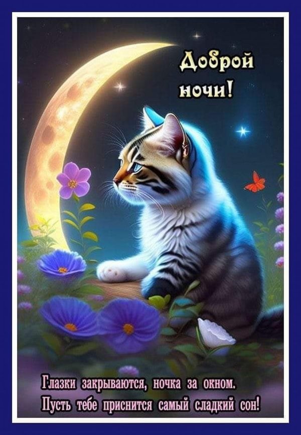 доброй рабочей ночи