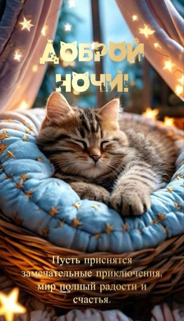 ночи доброй