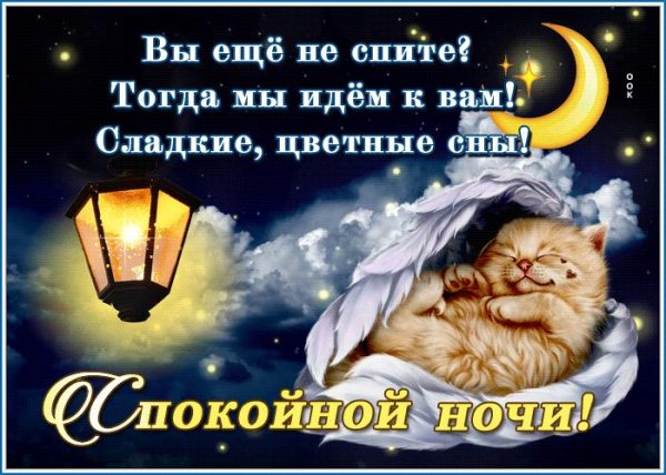 пожелание сладких снов