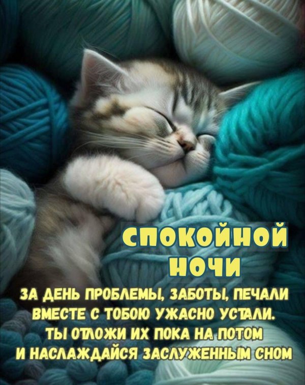 сладких снов котенок