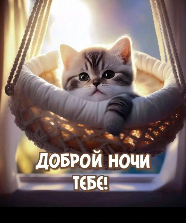 доброй майской ночи