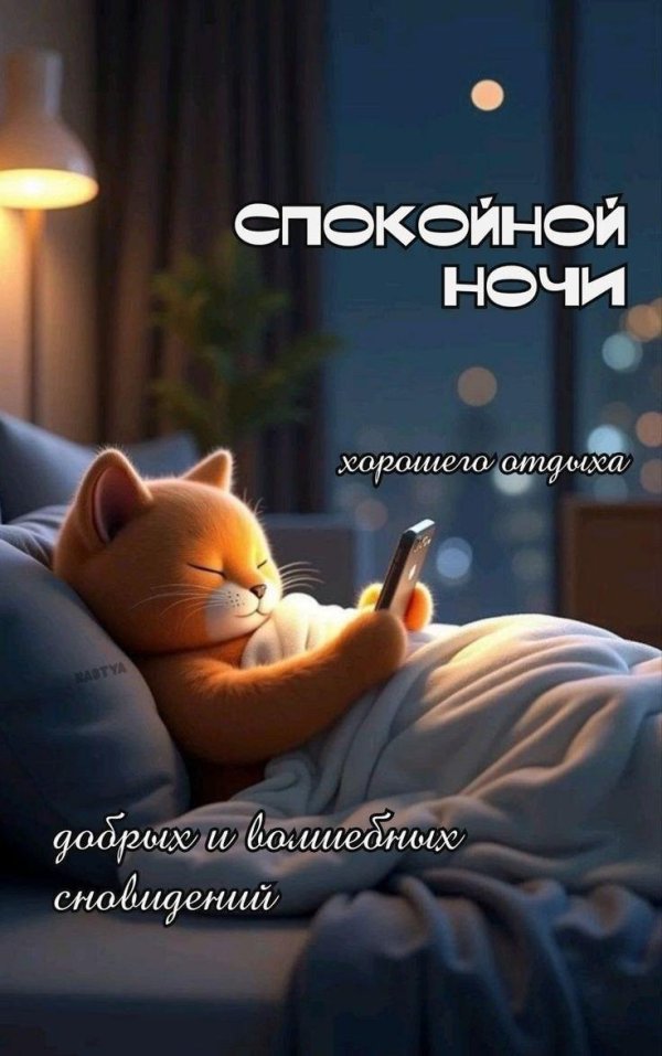 прикольное спокойной ночи