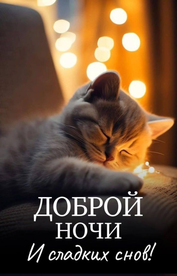добрая ночь