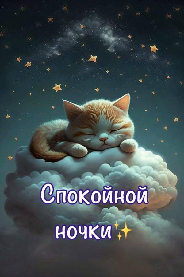 Спокойной ночи и доброе утро