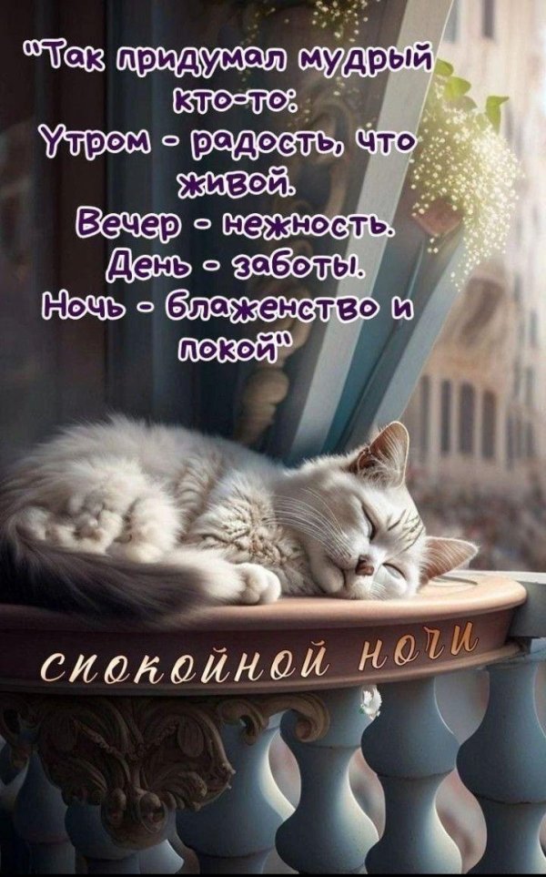 счастливой ночи