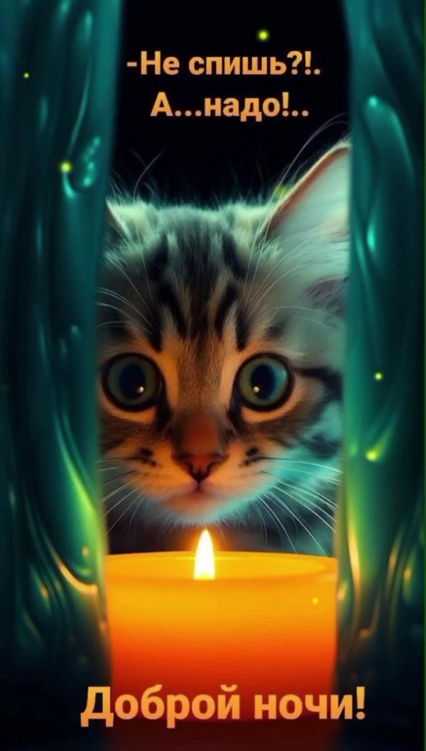 добрая ночь