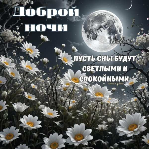 добрый вечер с ромашками