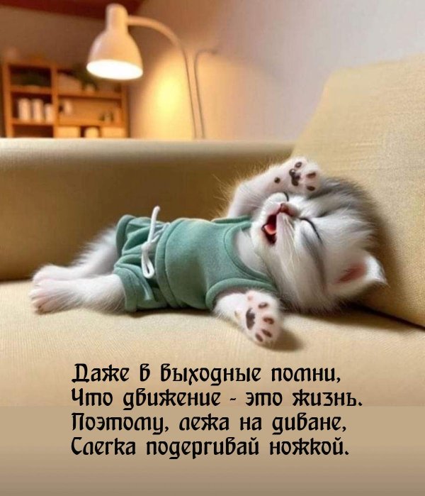 шуточные открытки