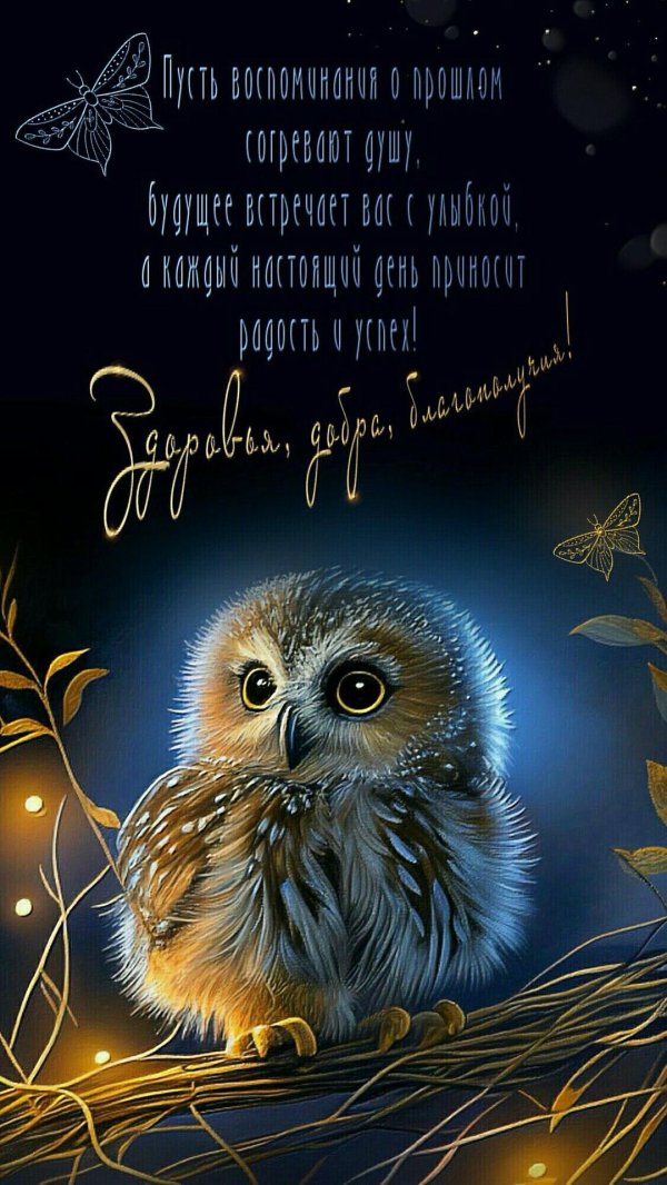 спокойной ночи с совой