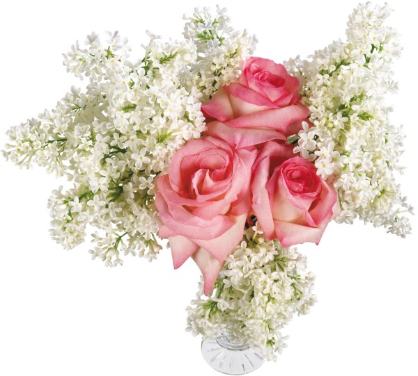 букет цветов прозрачный фон