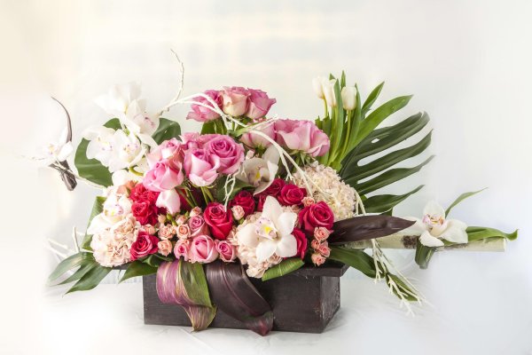 орхидея букетная