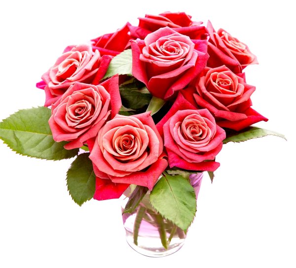 роза аква букет