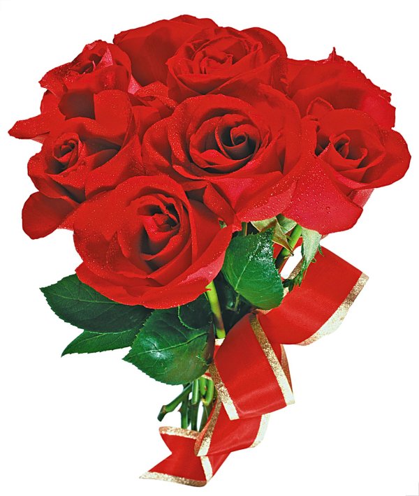 букет роз
