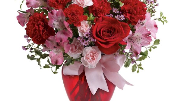 цветы без фона