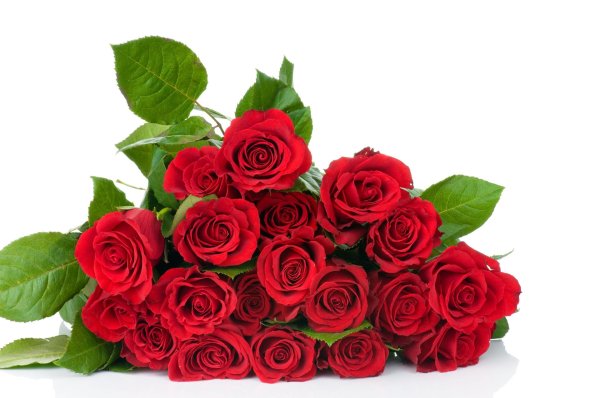 роза ред дей