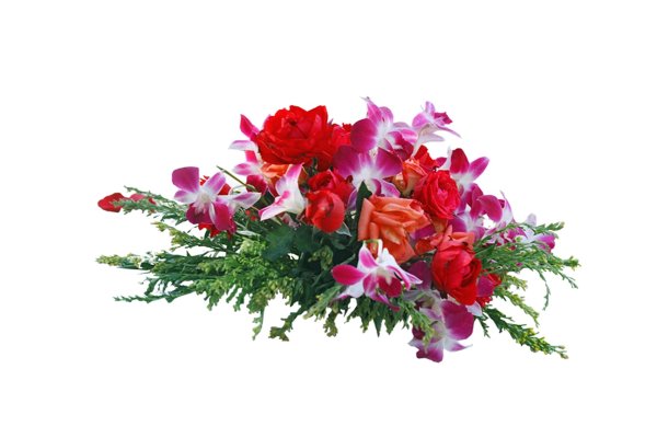 цветок прозрачный фон