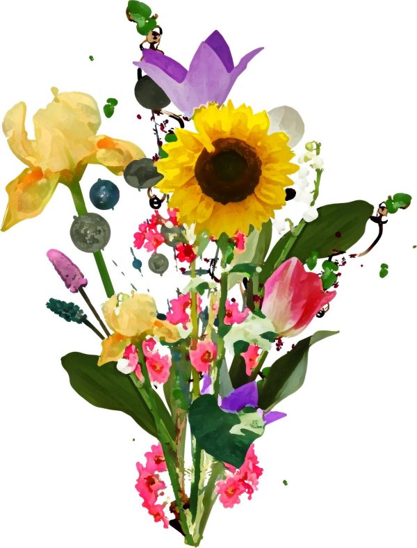 полевые цветы на прозрачном фоне