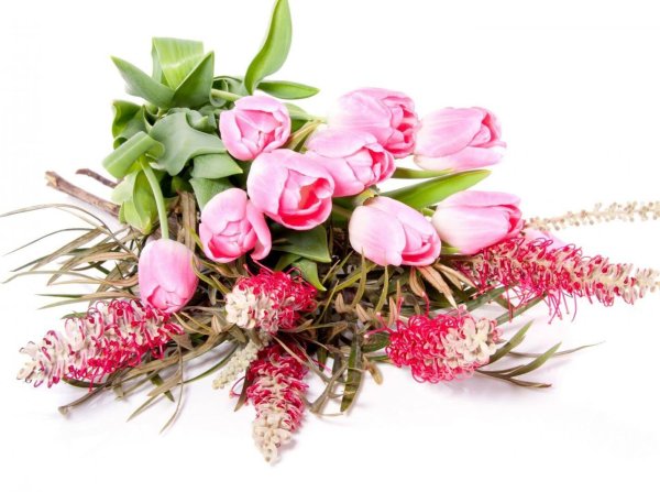 цветы красивые букеты