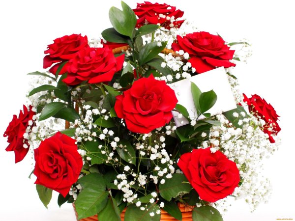 букет цветов прозрачный фон