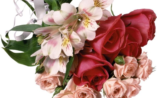 Цветы букеты на прозрачном фоне с днем рождения