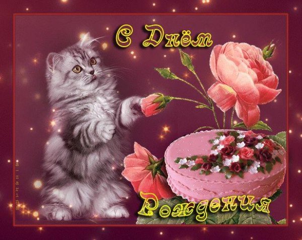 мерцающие котики