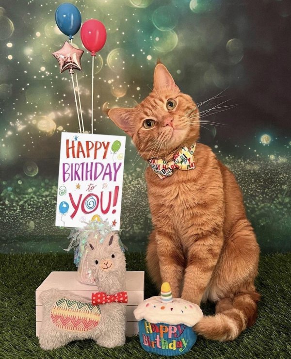 день рождение