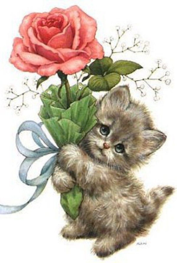 очаровательные котята