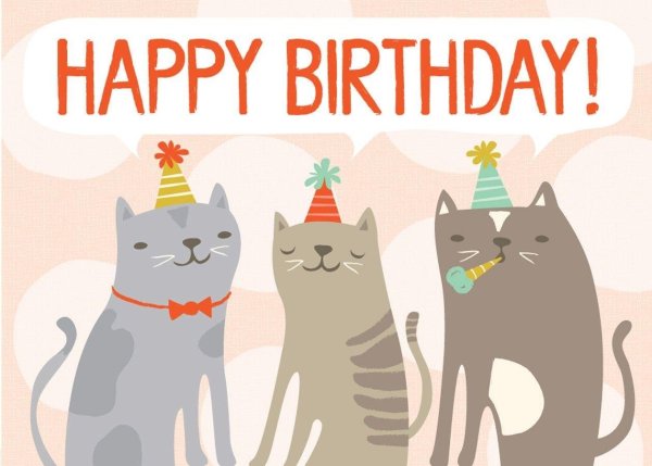 поздравление с днём рождения кот