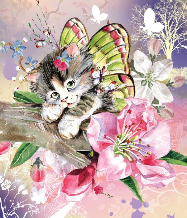 котик бабочка