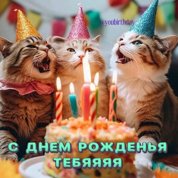 открытка на день рождения с котом