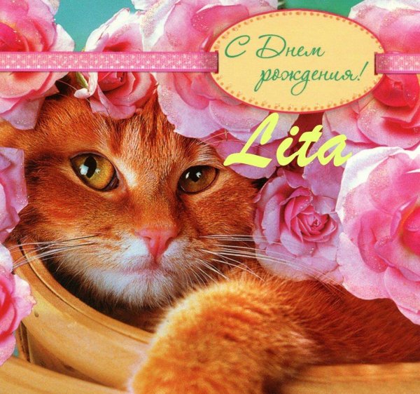 открытка кошки с днём рождения