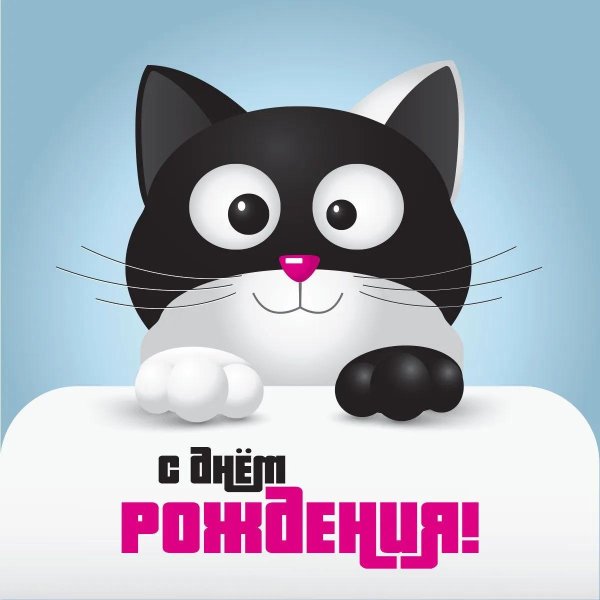 с днем рождения котик