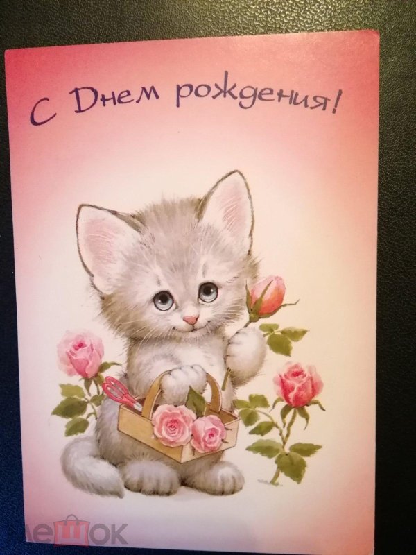 открытки милые котята