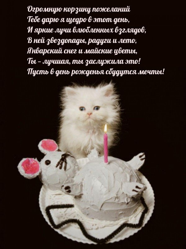 с днем рождения кошечка